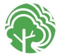 Tree Surgery Services Ferndown Dorset - Clearcut Tree Surgery